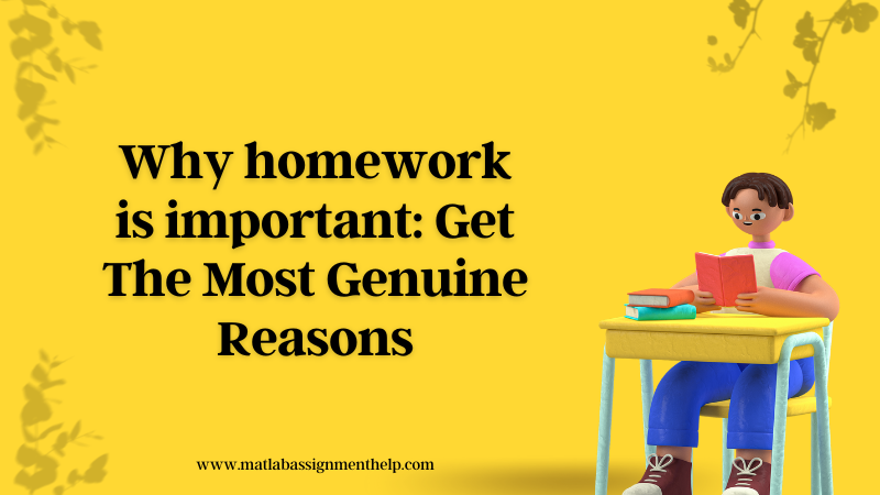 Why homework is important Get The Most Genuine Reasons