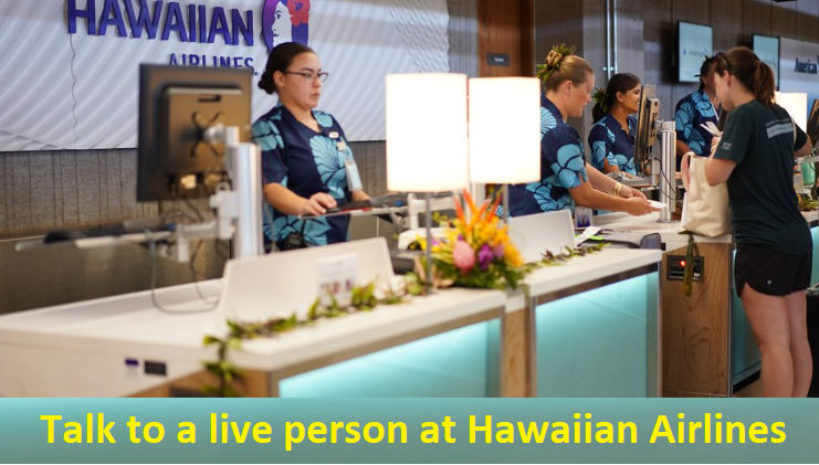 Talk to a live person at Hawaiian Airlines