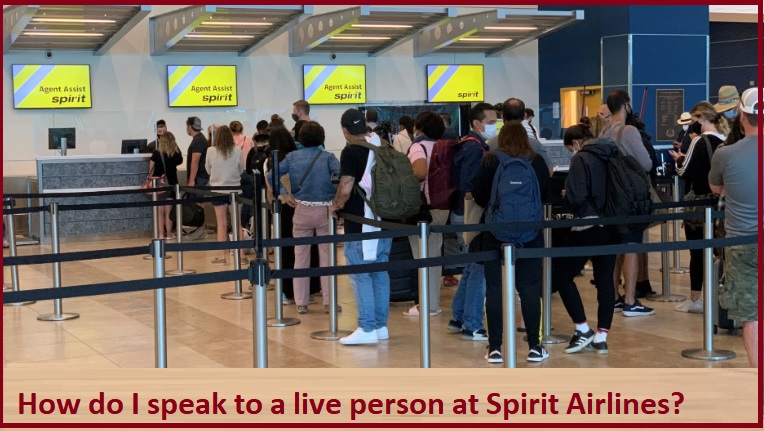 How do I speak to a live person at Spirit Airlines
